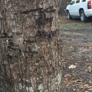 Meet your Posher, Edwin